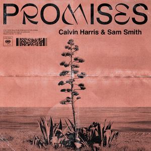 PROMISES - CALVIN HARRIS & SAM SMITH