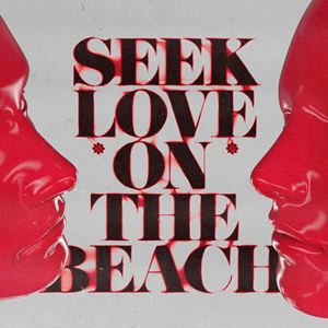 SEEK LOVE (ON THE BEACH) - ALOK, TAZI & SAMUELE SARTINI feat. AMANDA WILSON & YORK