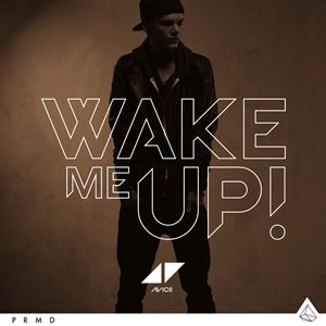 WAKE ME UP! - AVICII feat. ALOE BLACC