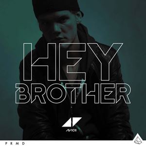 HEY BROTHER - AVICII feat. DAN TYMINSKI