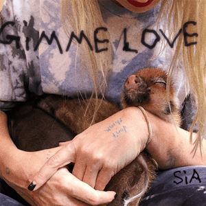 GIMME LOVE - SIA