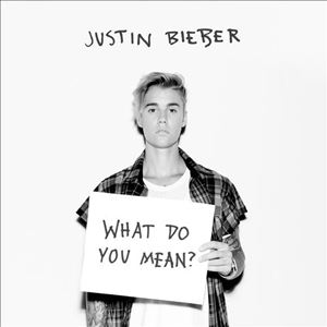WHAT DO YOU MEAN - JUSTIN BIEBER