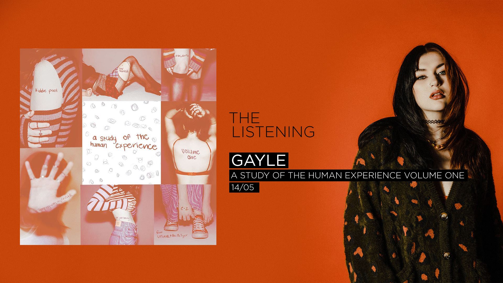 GAYLE | A STUDY OF THE HUMAN EXPERIENCE VOLUME ONE